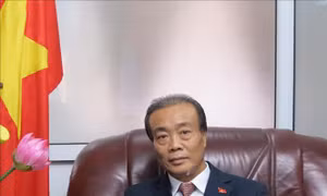 Việt Nam-Tanzania hướng tới quan hệ song phương hữu nghị, thực chất và hiệu quả hơn