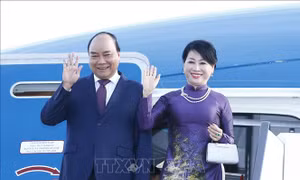 Thúc đẩy quan hệ hợp tác nhiều mặt Việt Nam-Na Uy