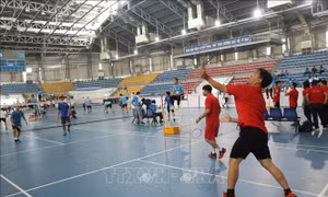 Hội thao truyền thống ngành Thông tin và Truyền thông khu vực phía Nam lần thứ XIV