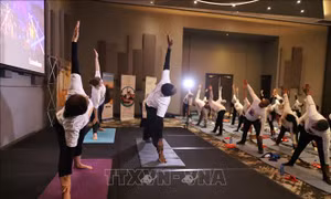 Dấu ấn Ngày Quốc tế Yoga lần thứ 10 tại Nam Phi
