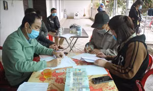 Quỹ Hỗ trợ nông dân - đòn bẩy giúp nông dân Ninh Bình vượt khó
