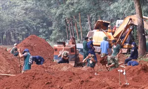 Đã cất bốc 53 hài cốt liệt sỹ tại huyện Lộc Ninh, tỉnh Bình Phước