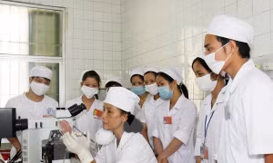 Hà Nội đặt mục tiêu có 3 dược sĩ đại học/vạn dân năm 2020 