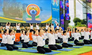 Trên 1.000 người tham dự Ngày Quốc tế Yoga lần thứ 10​ bên bờ vịnh Bái Tử Long