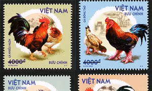 Giới thiệu 4 loại gà quý hiếm trong bộ tem 'Gà bản địa Việt Nam'