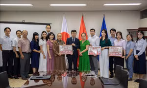 Cộng đồng người Việt tại Nhật Bản hướng về đồng bào vùng thiên tai