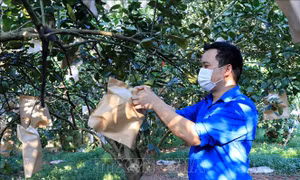 Tháo gỡ khó khăn cho các mô hình khởi nghiệp