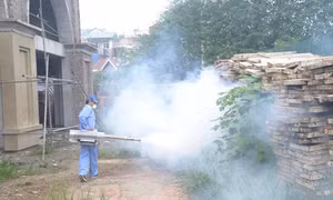 Hà Nội bùng phát sốt xuất huyết - Bài cuối: Bộ Y tế 'hứa' dồn lực hỗ trợ 