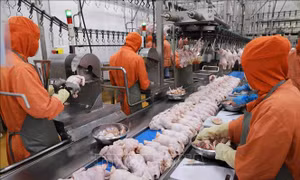 Mở rộng thị trường cho ngành công nghiệp thực phẩm