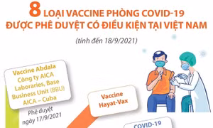 8 loại vaccine phòng COVID-19 được phê duyệt có điều kiện tại Việt Nam