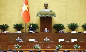 Quốc hội thảo luận về dự án Luật sửa đổi, bổ sung một số điều của 4 luật về thuế