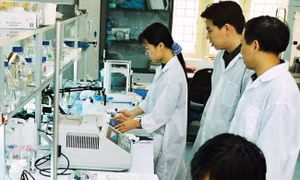 Ươm tạo nhà khoa học trẻ góp phần thu hút nhân lực chất lượng cao