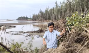 Hơn 9 km bờ biển Vĩnh Long bị sạt lở nghiêm trọng