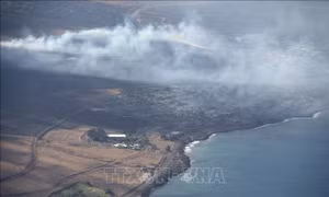 Thảm họa cháy rừng ở Hawaii (Mỹ): Con số thương vong sẽ còn tăng