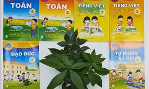 Nhà xuất bản Giáo dục Việt Nam công bố giá sách giáo khoa lớp 2, lớp 6 