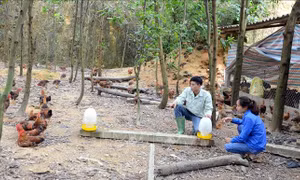 Dám nghĩ, dám làm, thành công trên con đường lập nghiệp