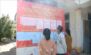 Hội nghị trực tuyến về công tác chuẩn bị bầu cử với 4 tỉnh 