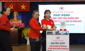 Phát động, tiếp nhận hỗ trợ đồng bào khắc phục hậu quả bão số 10