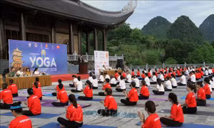 Ngày Quốc tế Yoga: Mang lại những giá trị mới về chất lượng cuộc sống