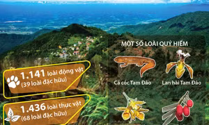 Đa dạng hệ động thực vật ở Vườn Quốc gia Tam Đảo