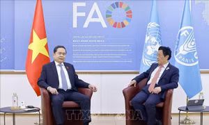 Chủ tịch Quốc hội Trần Thanh Mẫn gặp Tổng Giám đốc FAO