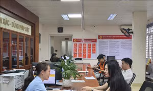 Bộ máy chính quyền vận hành liên tục khi chuyển sang mô hình thành phố