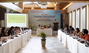 Thi hành Luật Phòng, chống bạo lực gia đình: Tăng cường các biện pháp bảo vệ quyền con người