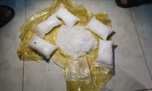 Bắt quả tang đối tượng giấu ma túy đá trong loa thùng