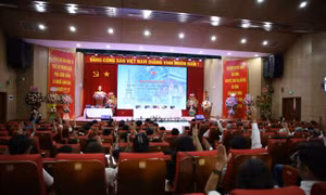 Kết nối, xây dựng các chương trình hợp tác Việt - Pháp