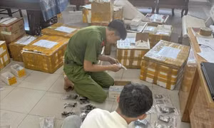 Phát hiện lô phụ kiện Iphone nghi nhập lậu trị giá 1 tỷ đồng