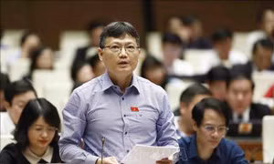 Cần các giải pháp cụ thể, an toàn để thúc đẩy tăng trưởng kinh tế