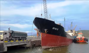 Xử lý nghiêm hành vi tăng giá thuê tàu và container