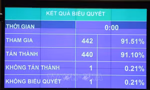 Quyết định Chương trình giám sát của Quốc hội năm 2021