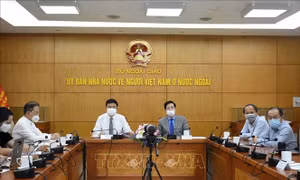 Phát huy vai trò của kiều bào trong việc quảng bá, tiêu thụ hàng Việt Nam