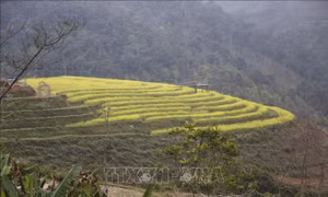 Du lịch Tuyên Quang thích ứng an toàn, linh hoạt với đại dịch