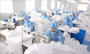 WTO: COVID-19 tác động mạnh tới thương mại thế giới
