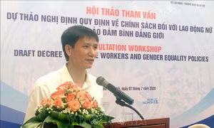 Bảo đảm quyền lợi và bình đẳng giới cho lao động nữ