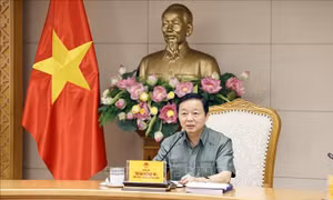 Xây dựng hành lang pháp lý phù hợp với các tài nguyên khoáng sản chiến lược