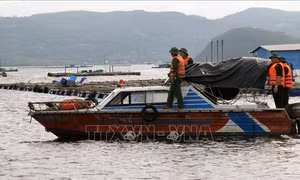 Phú Yên cấm biển, cho học sinh nghỉ học để phòng tránh bão số 9