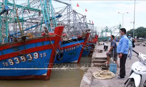 Chủ động ứng phó với bão Conson trong bối cảnh phòng, chống dịch COVID-19