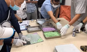 Kiểm soát các hoạt động hợp pháp liên quan đến ma túy