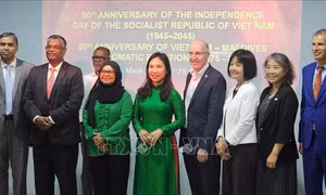 Thúc đẩy hợp tác nghị viện, thương mại, du lịch và hàng không giữa Việt Nam và Maldives