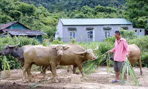 Cần có chính sách đặc thù hỗ trợ đồng bào dân tộc Mảng