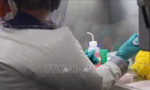 Phát triển phương pháp mới phân tích mã gene virus SARS-CoV-2
