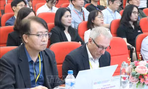 Đà Nẵng tăng tốc hội nhập quốc tế trong lĩnh vực vi mạch bán dẫn