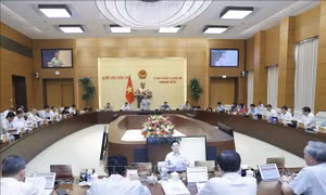 Đại biểu Quốc hội hoạt động chuyên trách sẽ thảo luận 9 dự án Luật