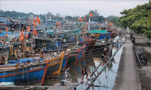 Tiếp tục tìm kiếm tàu, thuyền mất liên lạc trên biển