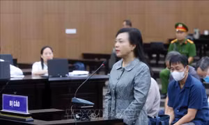Cựu Bộ trưởng Bộ Y tế Nguyễn Thị Kim Tiến bị đề nghị từ 5-6 năm tù