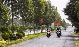 Đại hội XIII của Đảng: Phát huy sức mạnh toàn dân, tạo nguồn lực phát triển kinh tế - xã hội