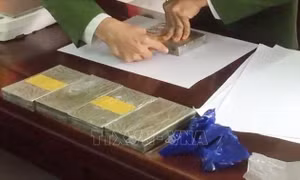 Công an Lào Cai triệt phá thành công chuyên án ma túy liên tỉnh